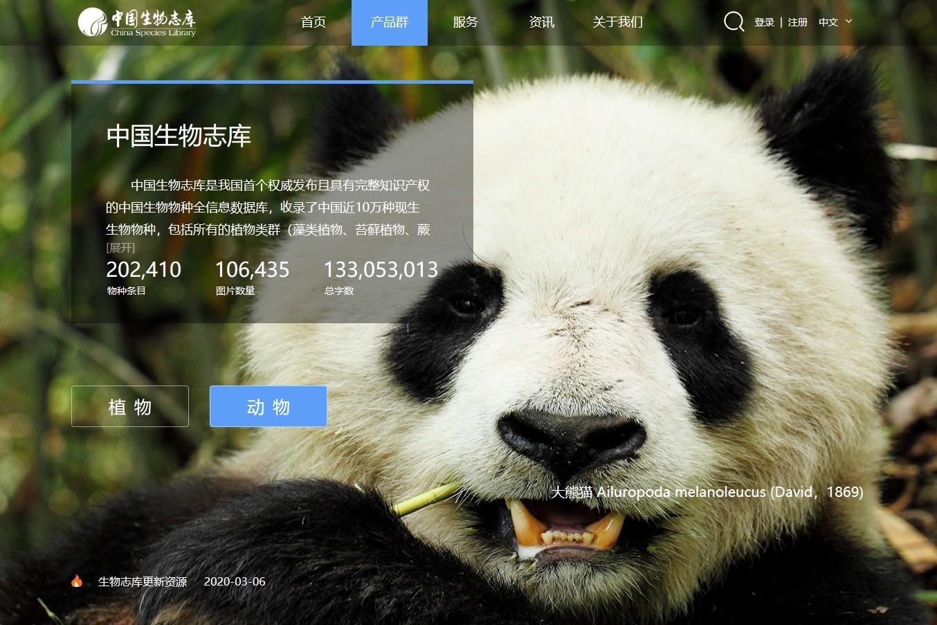 鸿运国际
