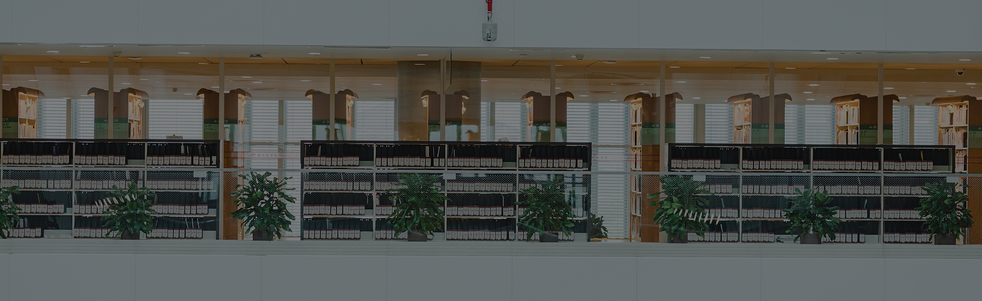 鸿运国际